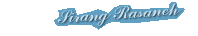 web design web graphic multimedia animation